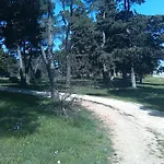 Soldo Zadar