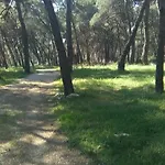 Soldo Zadar