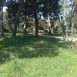 Soldo Zadar