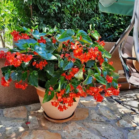 Soldo Apartment Zadar