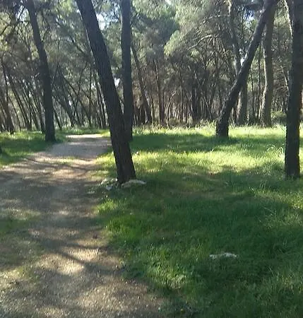 Soldo Zadar