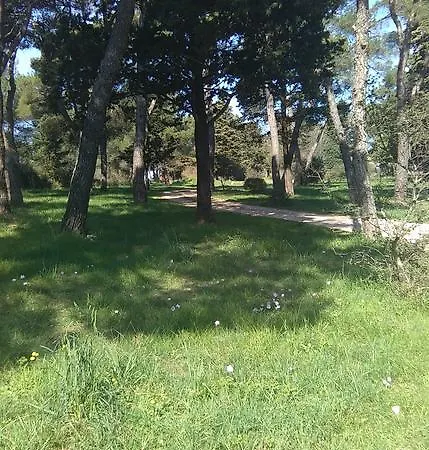 Soldo Zadar